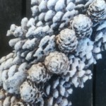 Loisirs créatifs Pessac Bordeaux