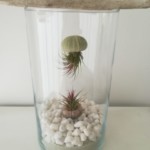 Loisirs créatifs Pessac Bordeaux