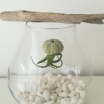 Loisirs créatifs Pessac Bordeaux