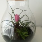 Loisirs créatifs Pessac Bordeaux