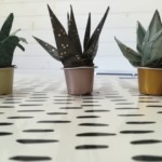 Atelier créatif Bordeaux Pessac/Bordeaux/Gironde